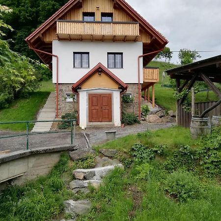 Bioferienhaus Muster - Dominkusch Possnitz Kültér fotó