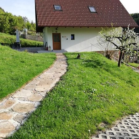 Bioferienhaus Muster - Dominkusch Possnitz Kültér fotó