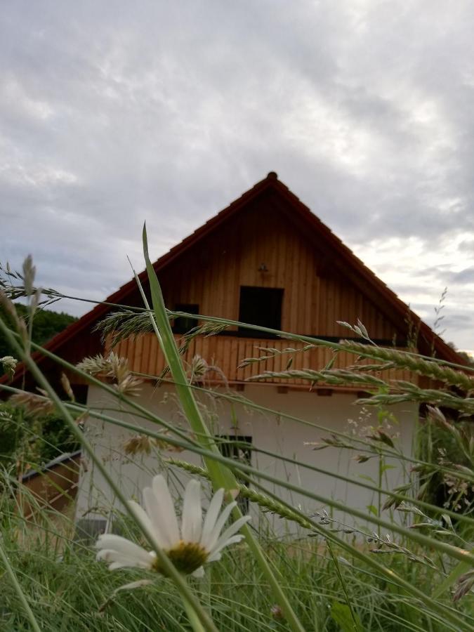 Bioferienhaus Muster - Dominkusch Possnitz Kültér fotó